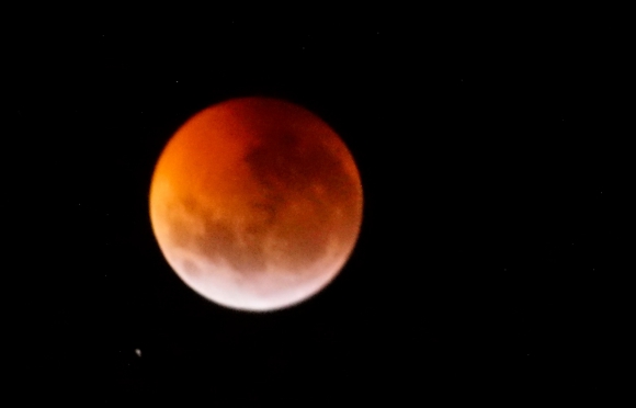 En distintos puntos del país se pudo apreciar la Superluna roja, un eclipse lunar total