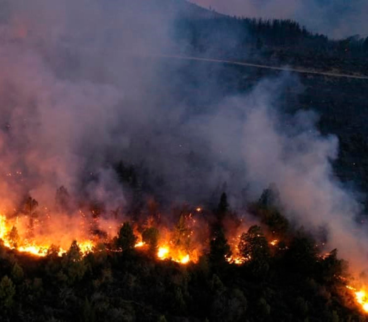 El Bolsón sufre otra vez incendios forestales, Cabandié presentará una denuncia penal por ser intencionales